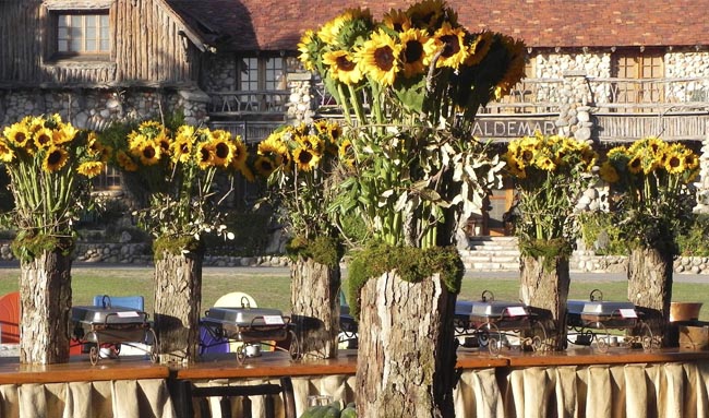 Bundles of sunflowers