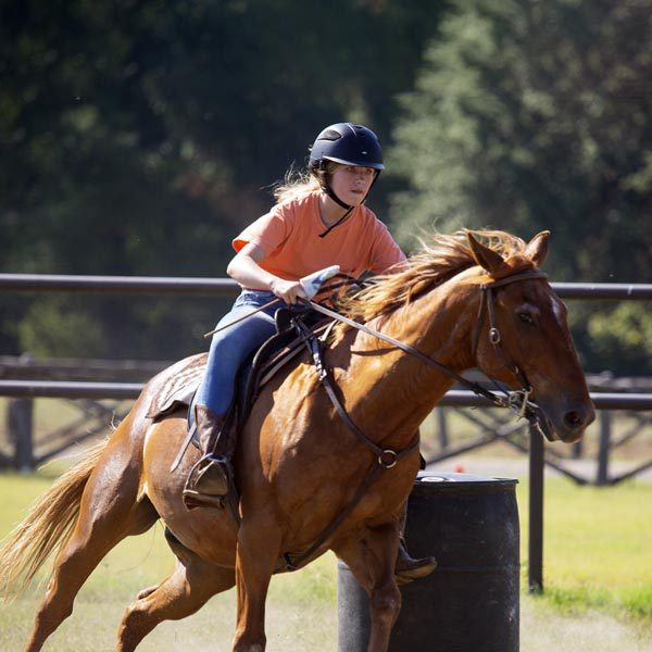 FieldDay-Horseback-riding-western-800x400